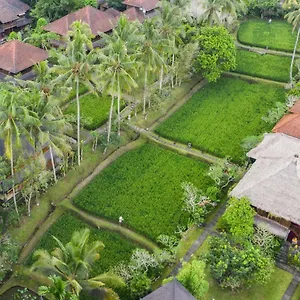 **** Resort Ananda Indonesia